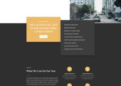 Business Consultant