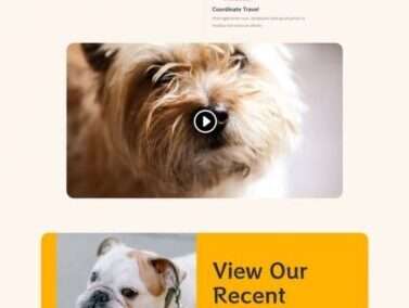 Dog Breeder