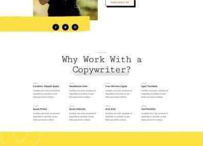 Freelance Writer