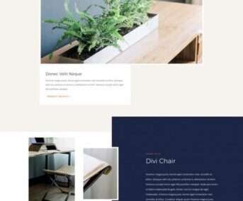 Furniture Store