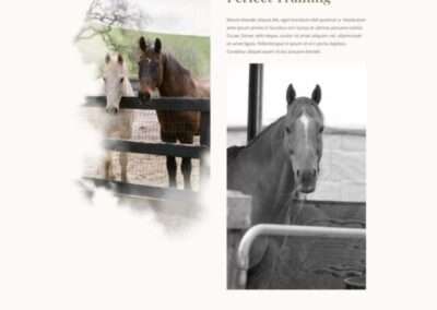 Horse Riding