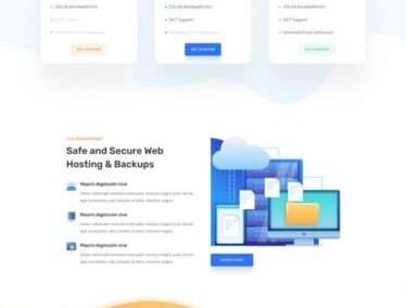 Hosting Company