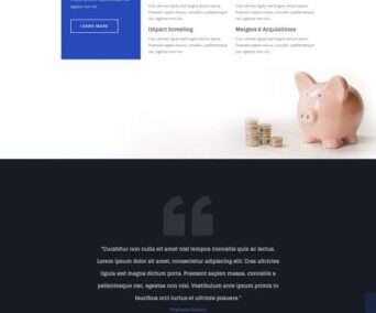 Investment Company