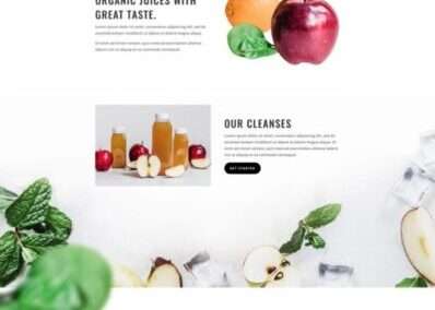 Juice Shop