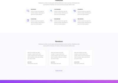 Software Marketing