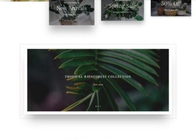 Plant Nursery