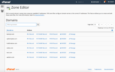 Advanced DNS Settings: Mastering cPanel Configuration