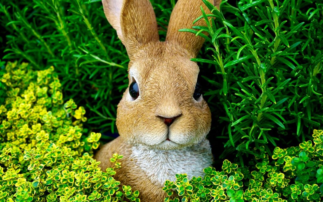Configuring BunnyCDN Pull Zones: A Deep Dive into Configuration Options