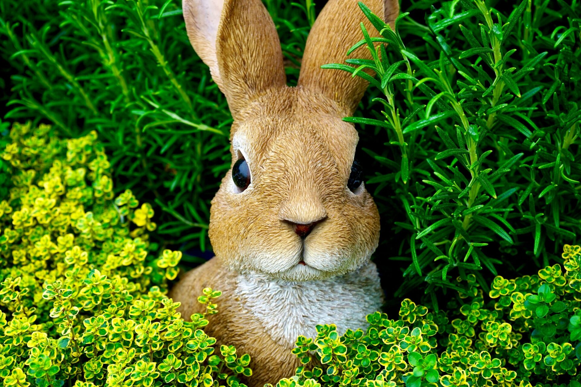 configuring-bunnycdn-pull-zones-a-deep-dive-into-configuration-options