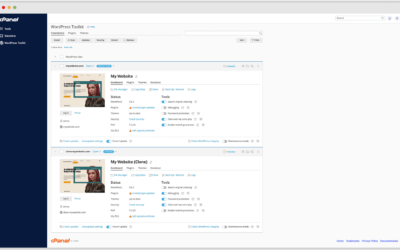 cPanel and Online Communities: Building and Managing Forums