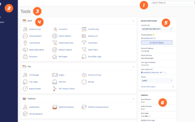 Custom Error Pages in cPanel: Personalizing User Experience
