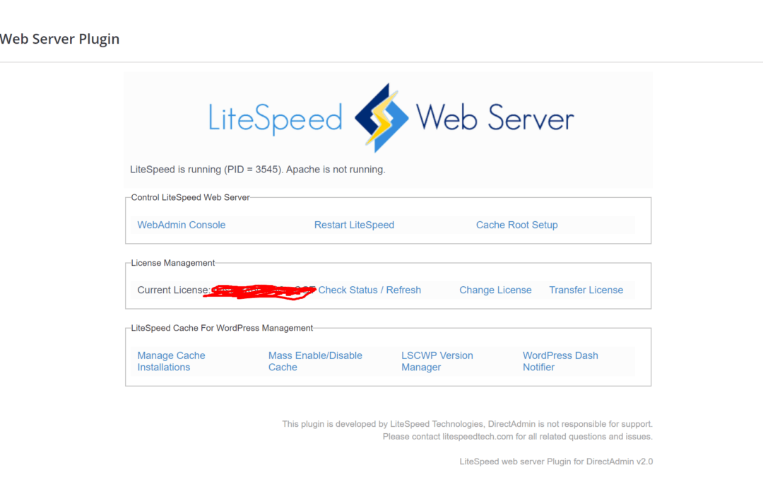 Maximizing Website Speed: Nginx Configuration in DirectAdmin