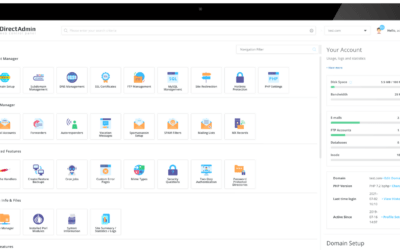 Reseller Hosting with DirectAdmin: Managing Multiple Accounts